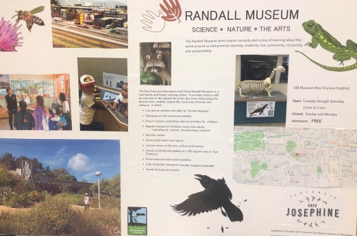 RandallMuseum